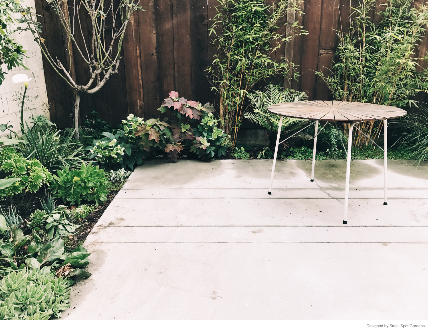 Garden Furniture East Bay plants in use Garden Furniture East Bay plants in use